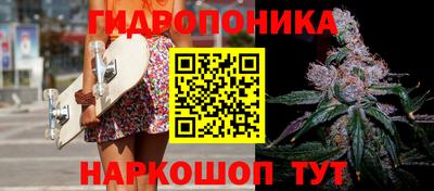 прущие крисы Тара