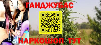 прущие крисы Тара